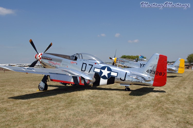 44-73287_02425_cf1.jpg