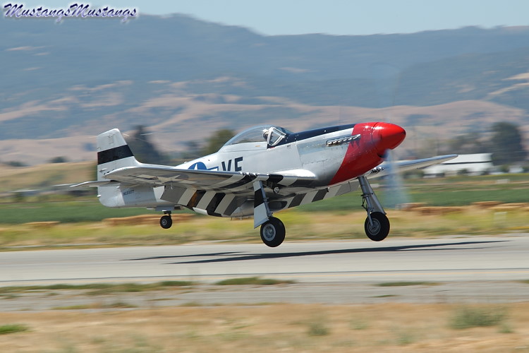 44-73339_02481_cf1.jpg
