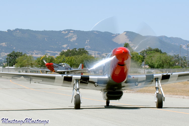 44-73339_02499_cf1.jpg