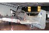P-51