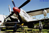 P-51