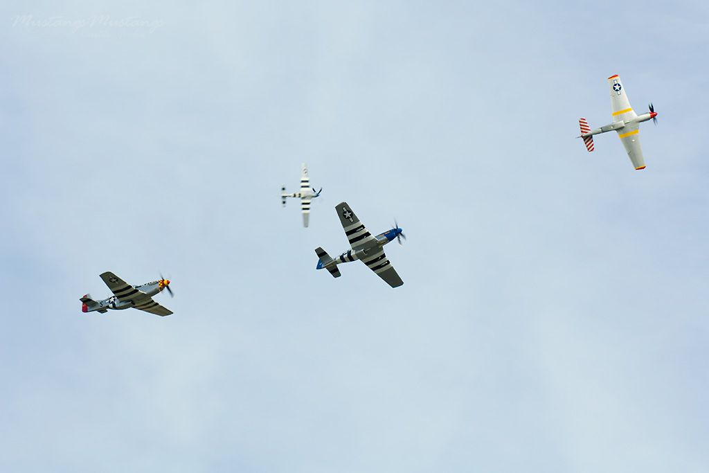 44-73543_02849_cf1.jpg