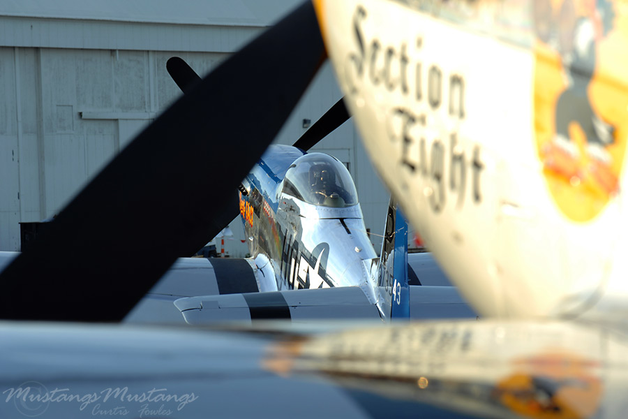44-73543_02851_cf1.jpg