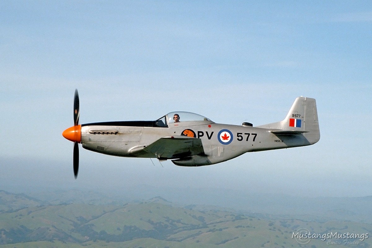 44-74311_03224_cf1.jpg