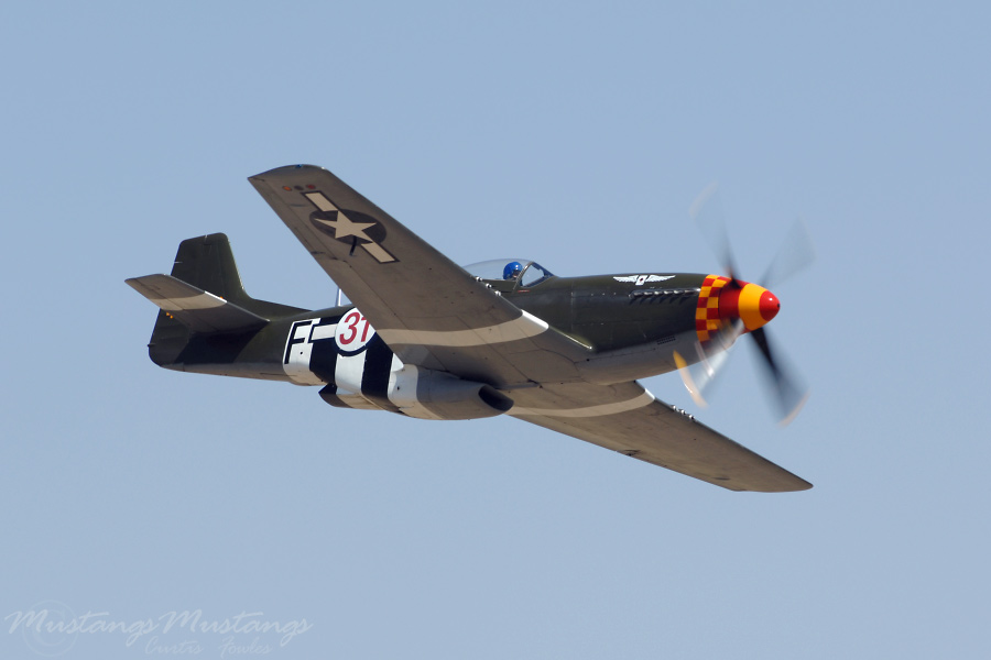 44-74389_03281_cf1.jpg