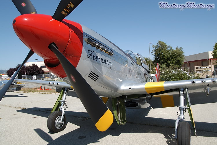 44-74391_03313_cf1.jpg