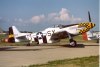 P-51