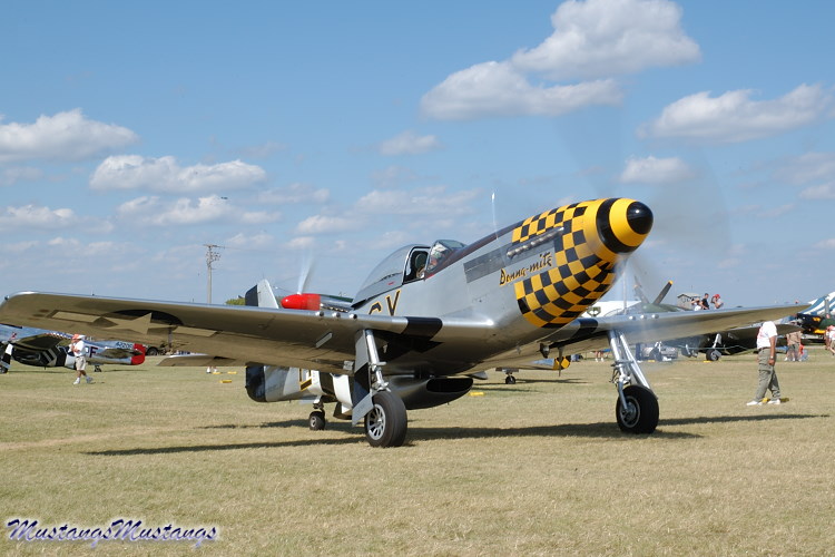 44-74417_06174_cf1.jpg