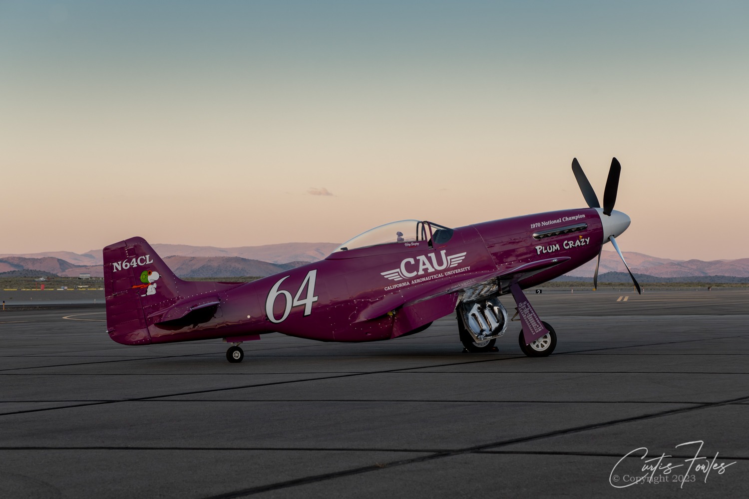 44-74423_10485_cf1.jpg
