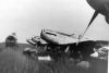 P-51