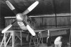 P-51