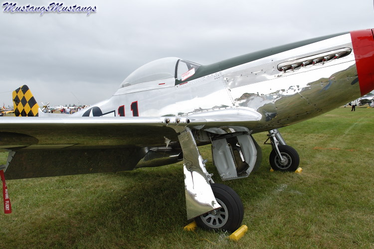 44-74446_03495_cf1.jpg
