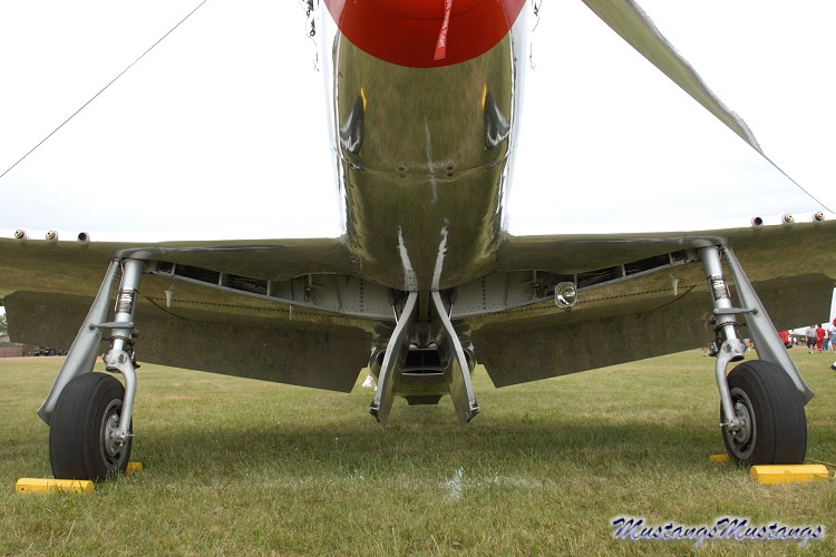 44-74446_03499_cf1.jpg