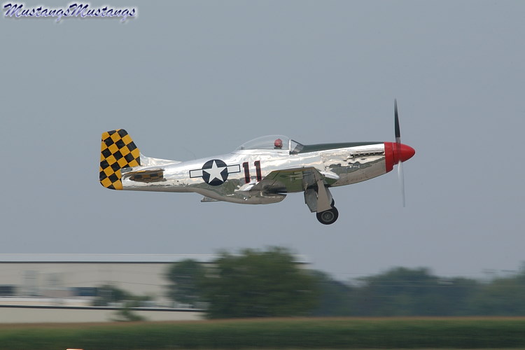 44-74446_03506_cf1.jpg