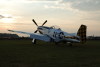 P-51
