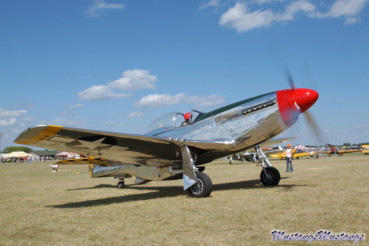 44-74446_03515_cf1.jpg