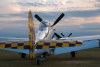 P-51