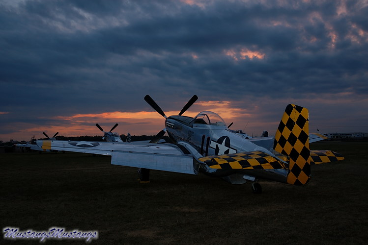 44-74446_03526_cf1.jpg