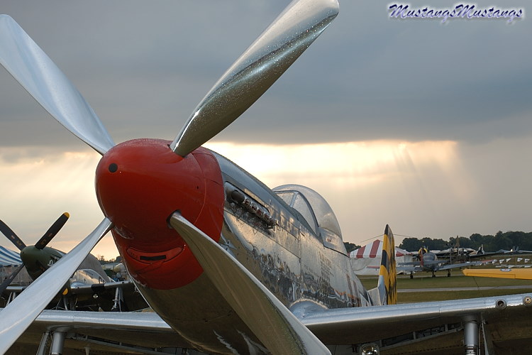 44-74446_03531_cf1.jpg