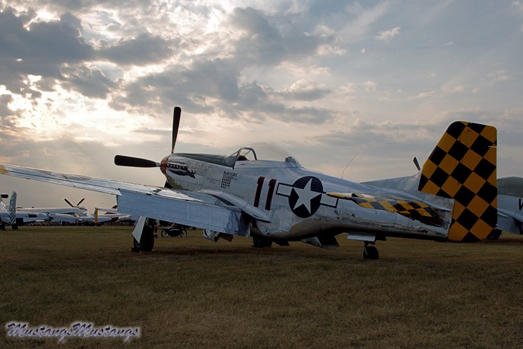 44-74446_03546_cf1.jpg
