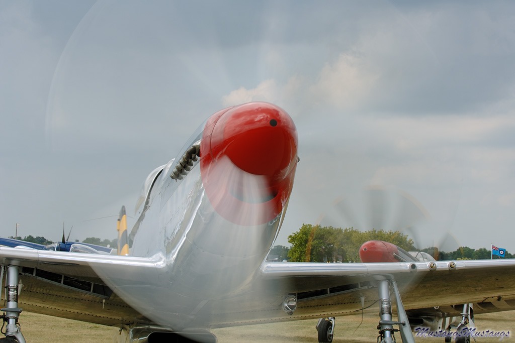 44-74446_07224_cf1.jpg