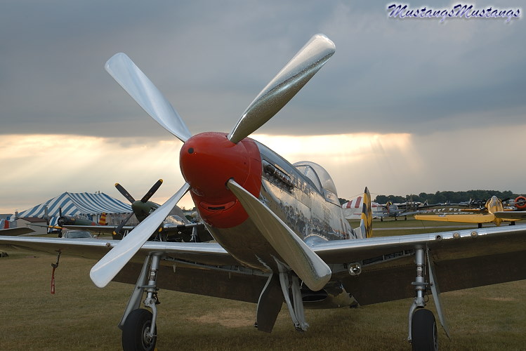 44-74446_07243_cf1.jpg