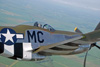 P-51