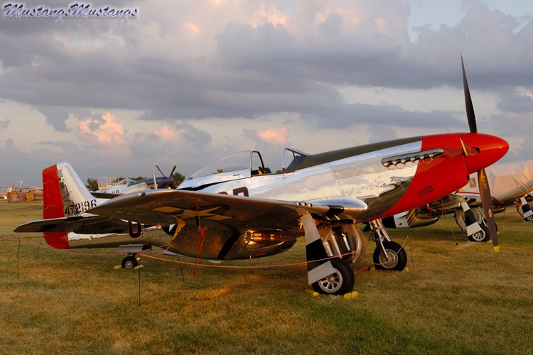 44-74469_03647_cf1.jpg
