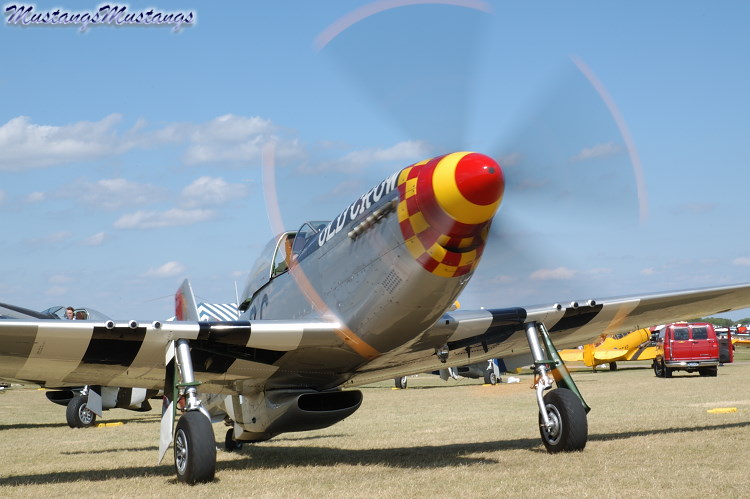 44-74474_03697_cf1.jpg