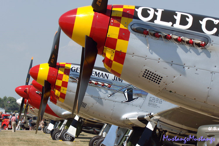 44-74474_03725_cf1.jpg
