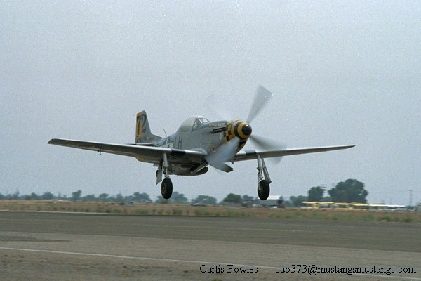 44-74494_03737_cf1.jpg