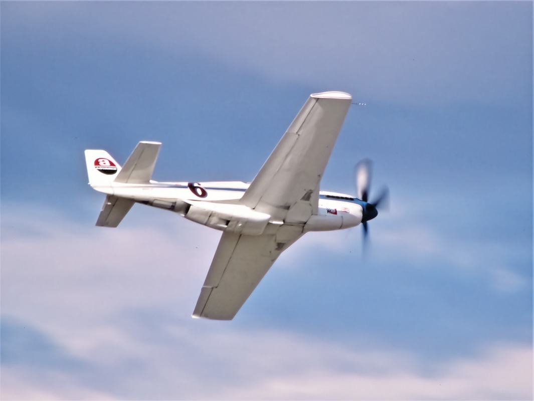 44-74502_10164_gm5.jpg
