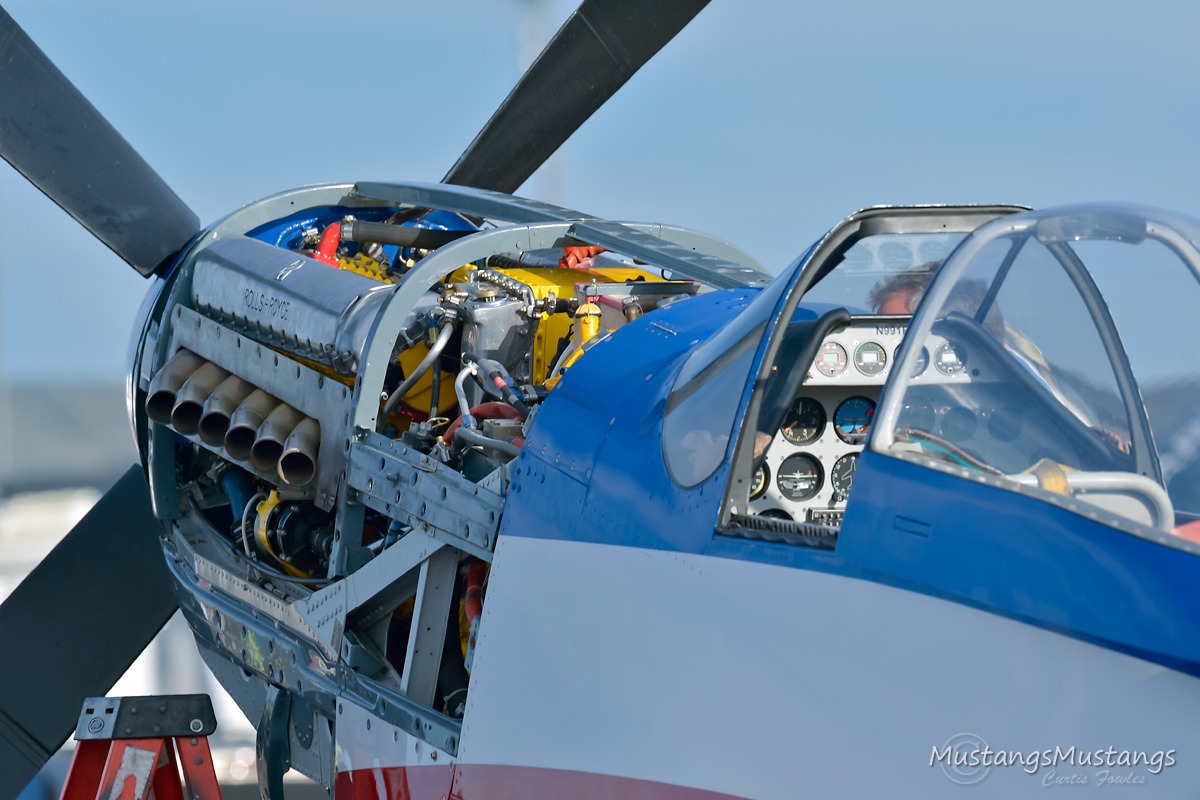 44-74536_9053_cf1.jpg