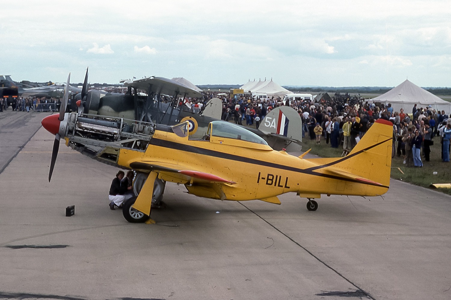 44-74694_10264_bb3.jpg