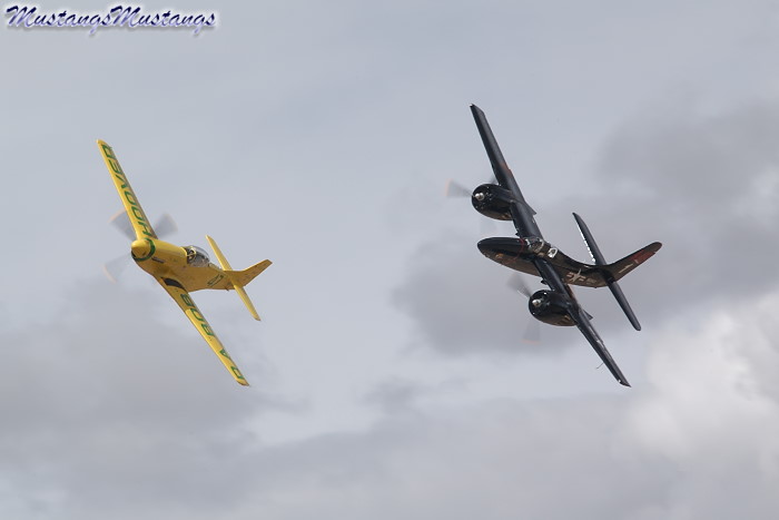 44-74739_04146_cf1.jpg