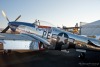 P-51