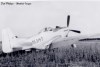 P-51
