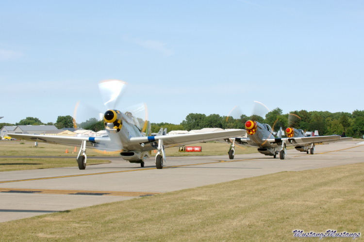 44-74878_04299_cf1.jpg