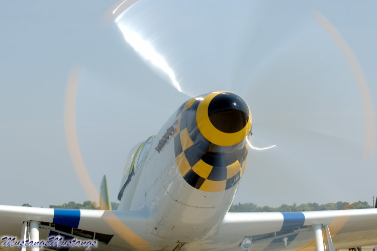 44-74878_04300_cf1.jpg