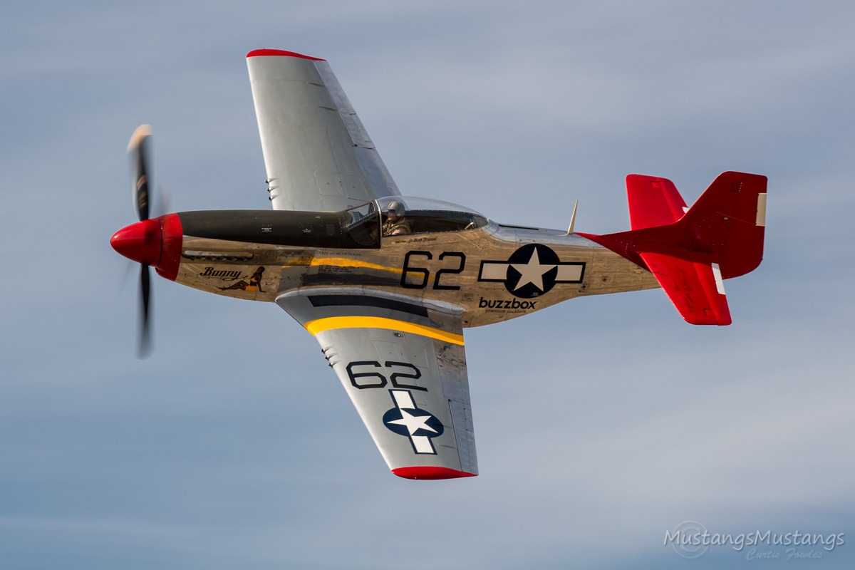 44-74908_9541_cf1.jpg