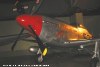 P-51