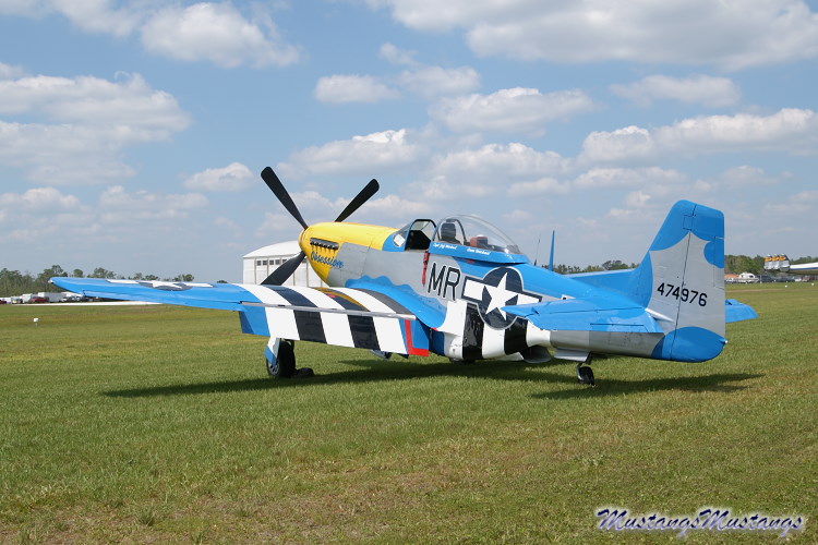 44-74976_04356_cf1.jpg