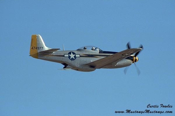 44-74977_04384_cf1.jpg