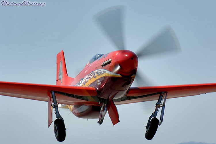 44-74996_04441_cf1.jpg