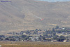 P-51