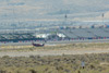 P-51
