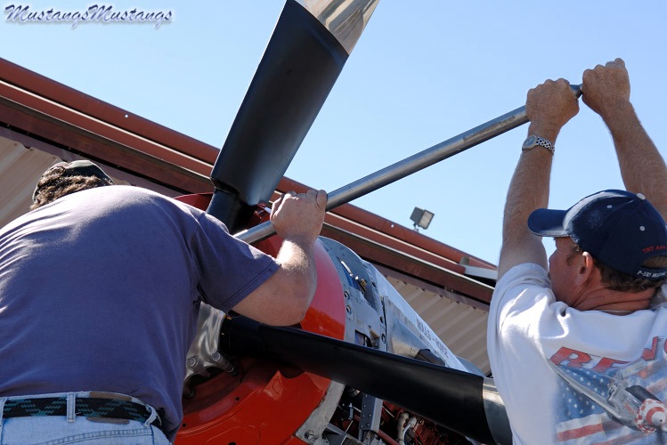 44-74996_04458_cf1.jpg