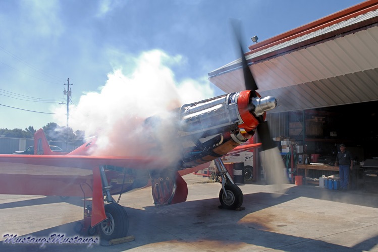 44-74996_04459_cf1.jpg