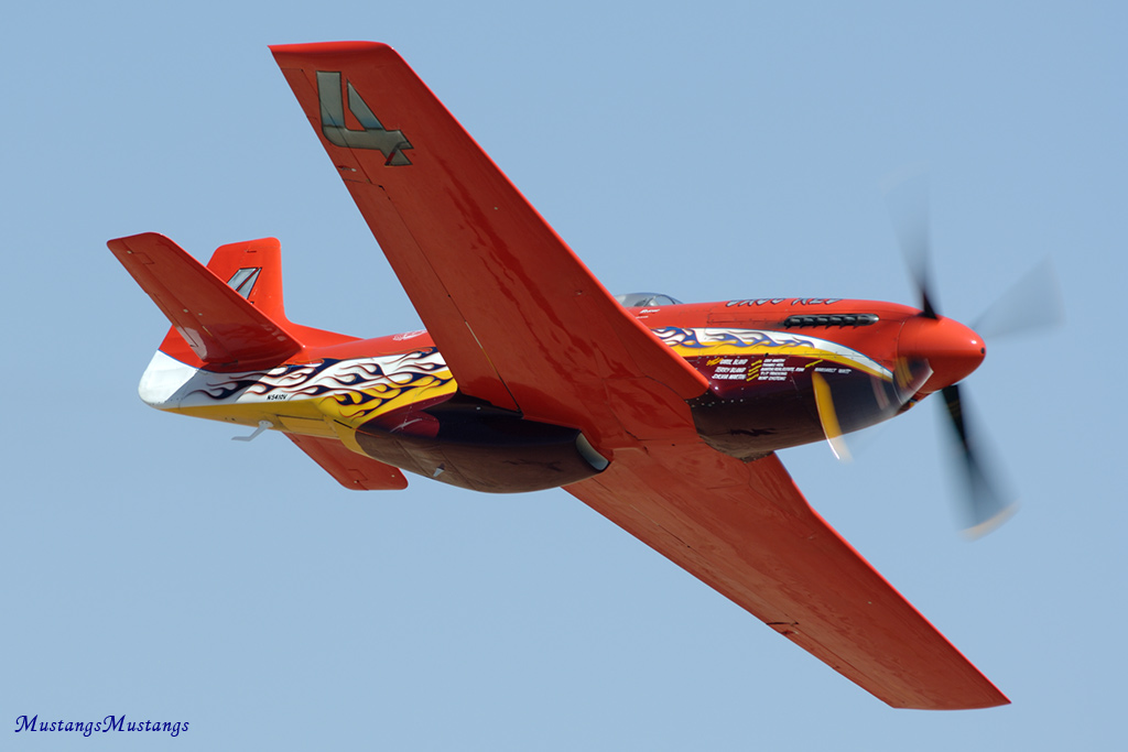 44-74996_04465_cf1.jpg