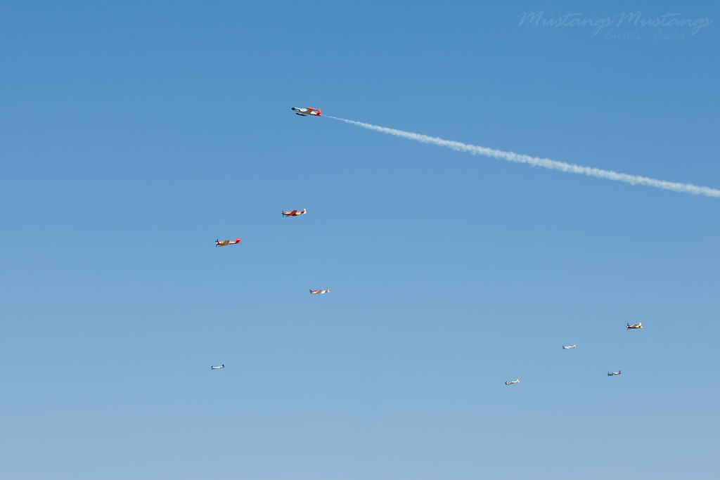 44-74996_04509_cf1.jpg